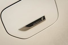 BMW G21 Sport Line 2.0 Hibrīds benzīns/elektrība — papildu attēls