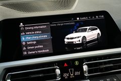 BMW G21 Sport Line 2.0 Hibrīds benzīns/elektrība — papildu attēls